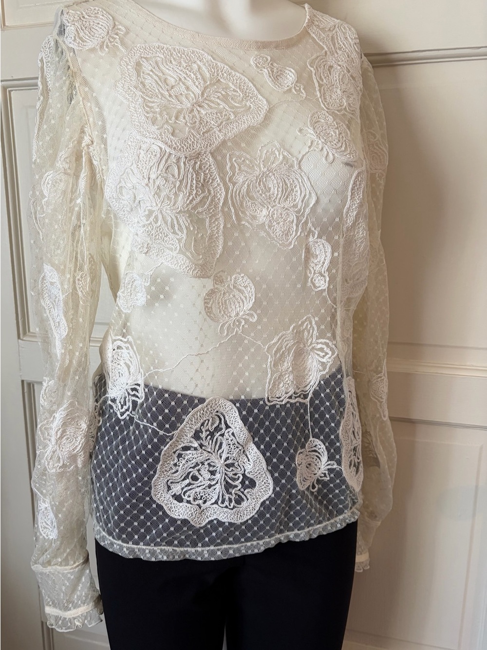 Express Ivory Lace Embroidered Top